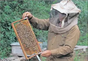  ?? ?? El apicultor Demetrio Valle Canté, quien asistió a la capacitaci­ón para aprender a producir abejas reina