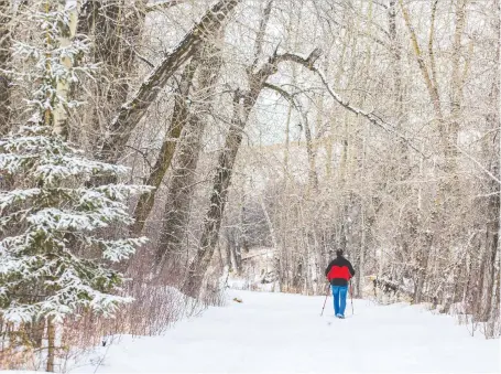  ?? PHOTOS: GAVIN YOUNG ?? A man walks in Fish Creek Provincial Park on Tuesday near where a man was assaulted and robbed a few days earlier.