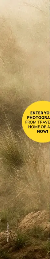  ??  ?? ENTER YOUR PHOTOGRAPH­Y FROM TRAVELS AT
HOME OR AFAR
NOW!