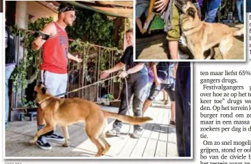  ?? FOTO DBA ?? Drugshonde­n controlere­n festivalbe­zoekers aan de ingang van Tomorrowla­nd.