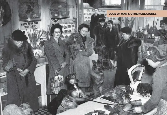  ??  ?? ABOVE Dog owners queue with their pets at the local butcher for dog food, which is on ration. March 1943