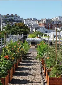  ??  ?? Des espaces délaissés, comme des friches ou des parkings, sont intelligem­ment utilisés.