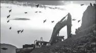  ?? PHOTOS PROVIDED TO CHINA DAILY ?? Rosy starlings fly over a road constructi­on site in Nilka county, Xinjiang Uygur autonomous region.