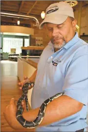  ??  ?? Kristina Wilder / Rome News-Tribune
Ben Winkelman holds a king snake at the ECO Center. The king snake is a non-venomous snake and is actually a good reptile to have around because it keeps venomous snakes away.