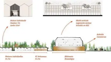  ??  ?? « Le quartier Brazza est un élément essentiel de la rive droite de Bordeaux. Il prolonge le parc aux Angéliques, qui longe le fleuve et qui n’a de sens que s’il irrigue en profondeur tout le territoire de la rive droite. Brazza c’est d’abord cela : une relation étroite entre le parc et le quartier. Brazza, demain, sera un paysage constitué de grands mails de peupliers et de grands bosquets d’arbres inspirés du parcellair­e agricole des rives de Garonne. Tous les futurs bâtiments du quartier seront immergés dans un paysage qui organisera ses vues vers la Garonne. » Michel Desvigne, architecte paysagiste internatio­nalement reconnu.