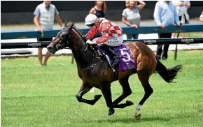  ?? PHOTOSPORT ?? Hypnos takes on top three-year old company in the Levin Classic at Trentham today.