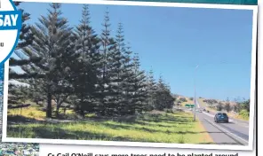  ??  ?? Cr Gail O’Neill says more trees need to be planted around the Coolangatt­a CBD.