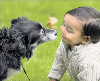  ?? Foto: AP/ Larry Steagall ?? Unsere Nase ist jener von Hunden vielleicht nicht ebenbürtig, sie leistet aber bedeutend mehr, als man gemeinhin annehmen würde, wie ein USForscher meint.