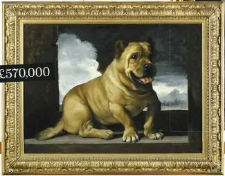  ??  ?? !"#$,$$$ Lots 369 (below) and 379 (right) soared way above their estimates. This portrait of an Italian cane corso by il Guercino was estimated to fetch £80,000-£120,000 in Cheffins’ sale.