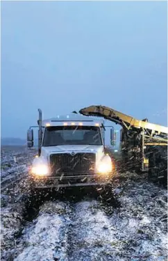  ?? MATTHEW VISSER VIA THE CANADIAN PRESS FILES ?? Farmers in Alberta are dealing with an unseasonab­ly cold September and early snowfalls.