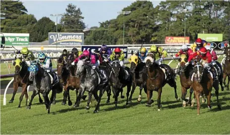  ?? Photo: Kevin Farmer ?? LATE CHARGE: Choice Bro (outside) charges home for a narrow victory for trainer Tony Sears and jockey Jimmy Orman in the 2016 Weetwood Handicap at Clifford Park.