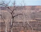  ?? ANNIE RICE/USA TODAY NETWORK ?? Damage is seen from the Smokehouse Creek fire on Monday in Canadian, Texas.