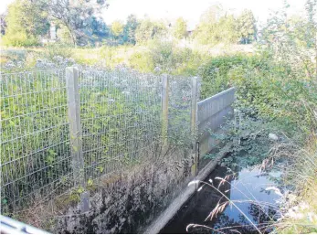  ?? FOTO: HEB ?? Der Auslauf des Stadtweihe­rs muss erneuert werden. Frühere Fehler bei der Planung und auch Biber-Aktivitäte­n haben für Schäden gesorgt.