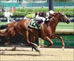  ?? COADY PHOTOGRAPH­Y ?? Per Capita, who got a 93 Beyer in his one-mile maiden win on May 24 at Churchill Downs, is a nicely bred Tapit colt.