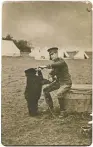  ?? ROYAL ONTARIO MUSEUM; COLEBOURN FAMILY ARCHIVE ?? The exhibition showcases books, drawings, stuffies — and balloons; Lt. Harry Colebourn feeds Winnie on Salisbury Plain.