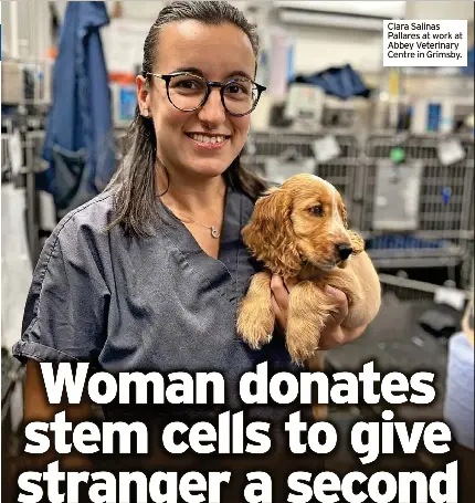Woman donates stem cells to give stranger a second chance at life