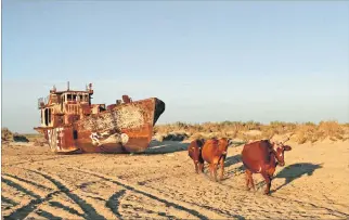  ?? GETTY IMAGES / VÍA EL PAÍS ?? Desiertos. Un barco abandonado en Muynak, al noreste de Uzbekistán y otrora una próspera ciudad portuaria.