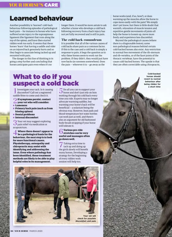  ??  ?? Your vet will check for possible discomfort and pain
Cold-backed horses should revert to normal behaviour after being ridden for a short time