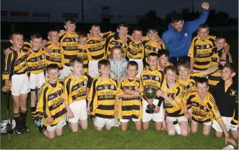  ??  ?? The victorious Rathnure team.