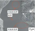  ??  ?? （ c）1 100 ℃/50 MPa/10 min烧结合金