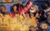  ?? Arkansas Democrat-Gazette/JOHN SYKES JR. ?? A group of students from North Little Rock’s Crestwood Elementary School search for fossilized bugs in one of the “Xtreme Bugs” interactiv­e stations.