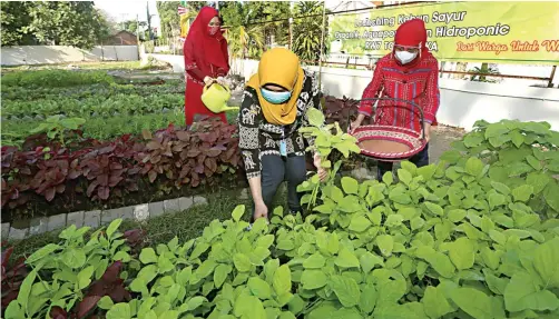  ?? ROBERTUS RISKY/JAWA POS ?? PANEN PERDANA: Ibu-ibu warga RW 7, Kelurahan Klampis Ngasem, memanen tanaman di kebun sayur organik di Jalan Manyar Tirtoyoso Utara II kemarin.