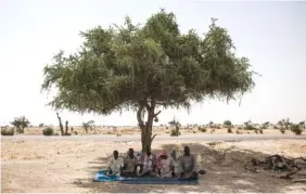 ?? ADAM FERGUSON / THE NEW YORK TIMES ?? Refugees pray in the shade of a tree along National Route 1 in October near Diffa, Niger. The paved road was begun by the Chinese to access prospectiv­e oil fields, which they now consider too dangerous to work.