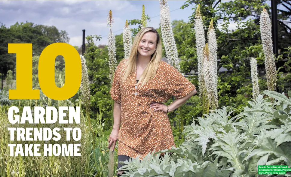  ??  ?? Leonie Cornelius pictured preparing for Bloom, Phoenix Park. Photo: Tony Gavin