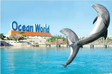  ??  ?? Ocean World es el parque de diversione­s más grande de todo el Caribe.