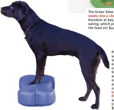  ?? ?? Power play. Develop your dog's core strength, balance, and endurance for better overall health with the K9FitBone. This balance platform designed especially for dogs is an awesome tool that uses instabilit­y training to improve your dog's fitness. Awesome for accompanyi­ng an agility training regimen. $70, dogtread.com