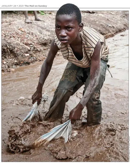  ??  ?? MEDIEVALCO­NDITIONS: A boy works in an unregulate­d mine in the Congo, the world’s main provider of cobalt