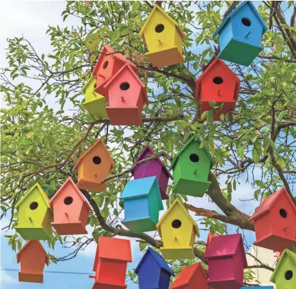  ?? GETTY IMAGES ?? Building a house – for several – of our feathered friends is pretty simple.