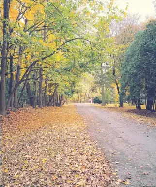  ?? PHOTO COURTESY OF THE VILLAGE OF SENNEVILLE ?? A fall scene in Senneville.