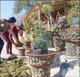  ?? JUN ELIAS ?? Ornamental plants and decorated pots are sold in Barangay Ar-arampang, Balaoan, La Union yesterday.