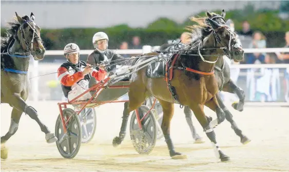  ?? Photo / Trish Dunell ?? Sundees Son smashed a national record winning the National Trot at Alexandra Park last Friday.