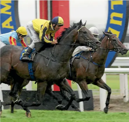  ??  ?? Sweet Leader cruises to victory in the Cambridge Breeders Stakes, giving jockey Craig Grylls a notable blacktype double.