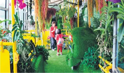  ?? Picture: AFP ?? GREEN POWER. Passengers inside the ‘forest bus’ in Taipei. With moss-covered seats and lush plants and flowers, it offers a leafy ride for passengers used to crammed public transport in Taiwan’s capital.