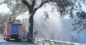  ?? FOTO: DPA ?? Drei Tage nach Ausbruch des Waldbrands vor den Toren Berlins hat die Feuerwehr die Flammen unter Kontrolle, die Glutnester aber noch nicht komplett gelöscht.