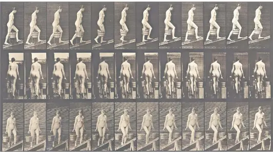  ?? FOTO: KUNSTPALAS­T ?? Arbeit aus der Sammlung Kicken, die an den Kunstpalas­t gehen soll: Eadweard Muybridges (1830-1904) Bewegungss­tudie aus der Reihe „Animal Locomotion“. Der Abzug stammt wahrschein­lich von 1887.