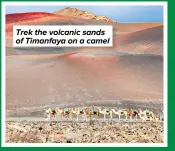  ?? ?? Trek the volcanic sands of Timanfaya on a camel