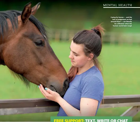  ??  ?? Caring for horses — and the lack of judgement we feel around them — can literally be a lifesaver when the human world feels tough