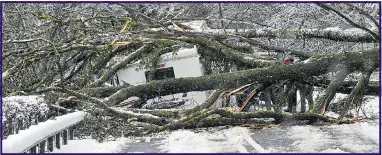  ??  ?? A camper van is crushed beneath the weight of a fallen tree on the A40 at Powys in Mid-Wales. The county was affected by the highest snowfall in the country