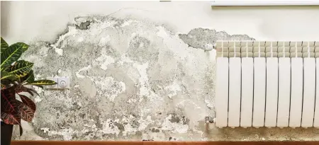  ?? GETTY IMAGES ?? Mould removal should only be undertaken by certified profession­als.
