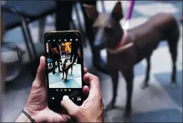  ?? ?? A man takes a photo of Pilon on Jan. 25 in Mexico City.