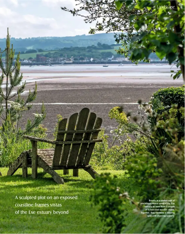  ??  ?? Breaks in a shelter belt of blackthorn reveal views of the Exe estuary as seen from a couple of lichen-clad wooden chairs. Together, they combine a relaxing spot with stunning scenery.