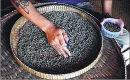  ?? DENIS GRAY / ASSOCIATED PRESS ?? A worker sorts through Kampot pepper in Cambodia. Lauded by celebrity chefs and exorbitant­ly priced, the pepper is enjoying a renaissanc­e, aided by special recognitio­n and protection from the European Union.