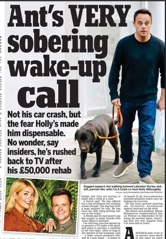 ?? Picture: JULES/SPLASHNEWS.COM/ITV/REX/SHUTTERSTO­CK ?? Dogged support: Ant walking beloved Labrador Hurley and, left, partner Dec with I’m A Celeb co-host Holly Willoughby
