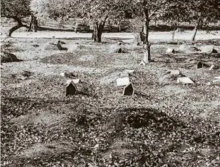  ?? Jardiel Carvalho/folhapress ?? Área do cemitério da Vila Formosa, na zona leste, onde uma vela que estava em um túmulo caiu sobre a grama, causando incêndio; bombeiros foram chamados 7º DIA 1º MÊS