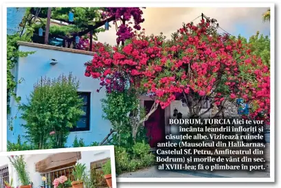  ??  ?? BODRUM, TURCIA Aici te vor încânta leandrii înfloriți și căsuțele albe. Vizitează ruinele antice (Mausoleul din Halikarnas, Castelul Sf. Petru, Amfiteatru­l din Bodrum) și morile de vânt din sec. al XVIII-lea; fă o plimbare în port.