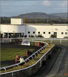  ??  ?? A view of horses in the parade ring prior to the Crowne Plaza Dundalk Race & Stay Handicap at Dundalk Stadium.